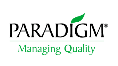 Paradigm Logo